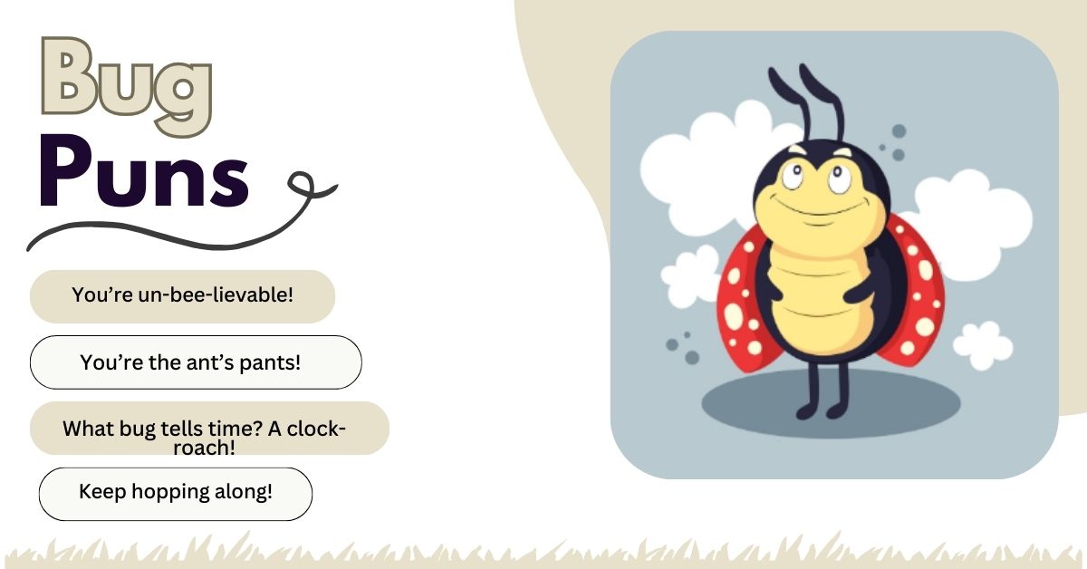 Bug Puns for Kids