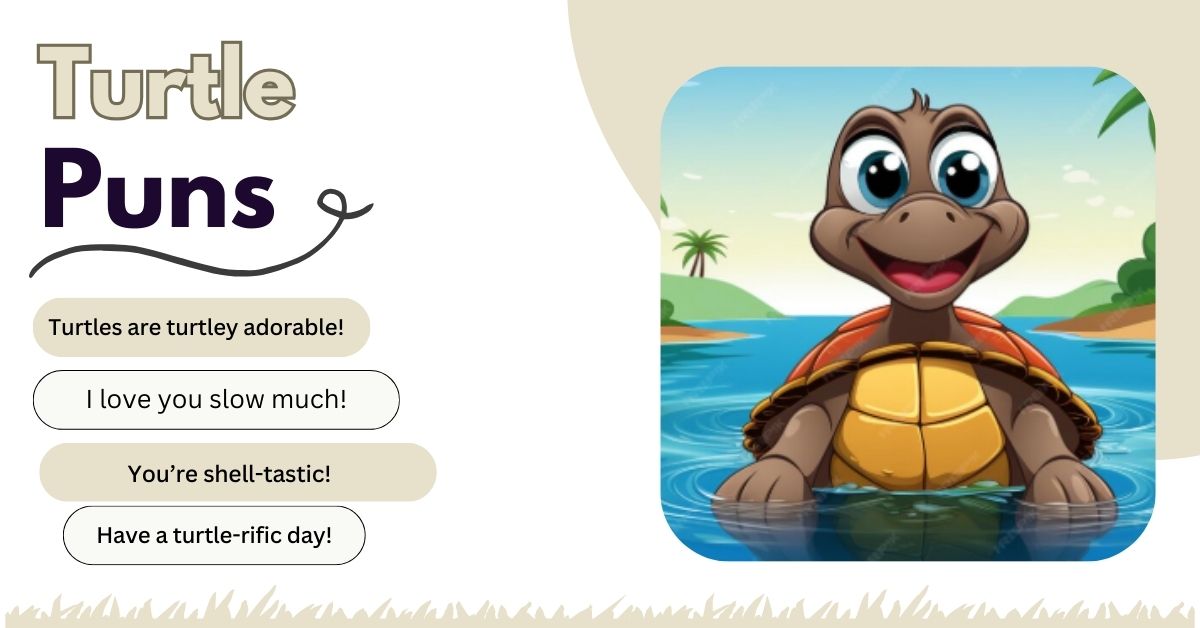 Turtle Puns for Kids